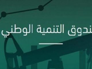صندوق التنمية الوطنية