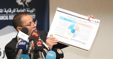 الدكتور محمد عمران رئيس الهيئة العامة للرقابة المالية