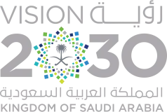 رؤية 2030